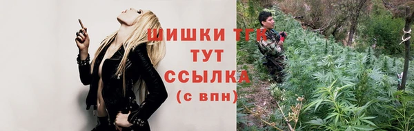 винт Вяземский