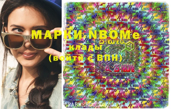 стаф Вязники