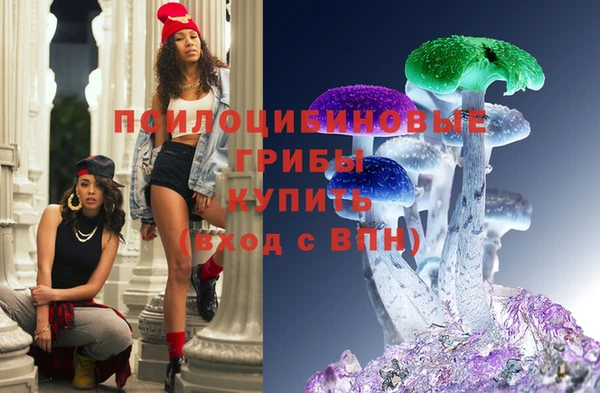 винт Вяземский