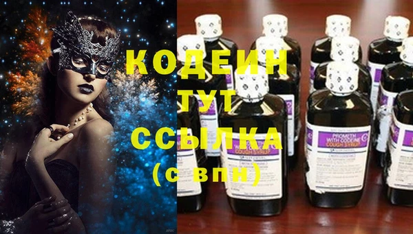 Альфа ПВП Лагань