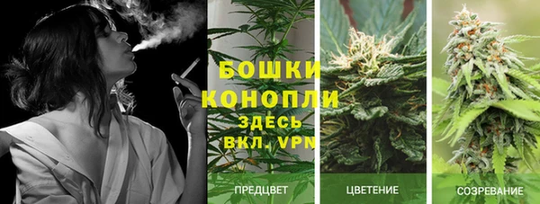 стаф Вязники