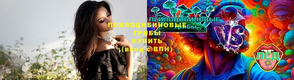 стаф Вязники
